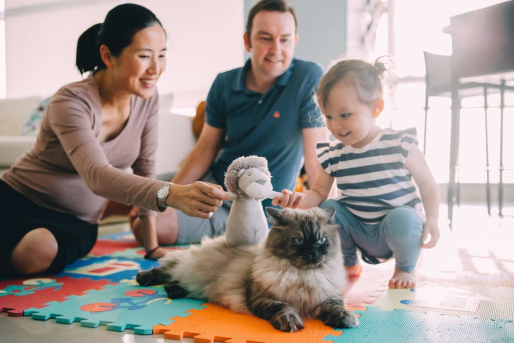 A mum and her little girl are playing with their cat while dad is watching them