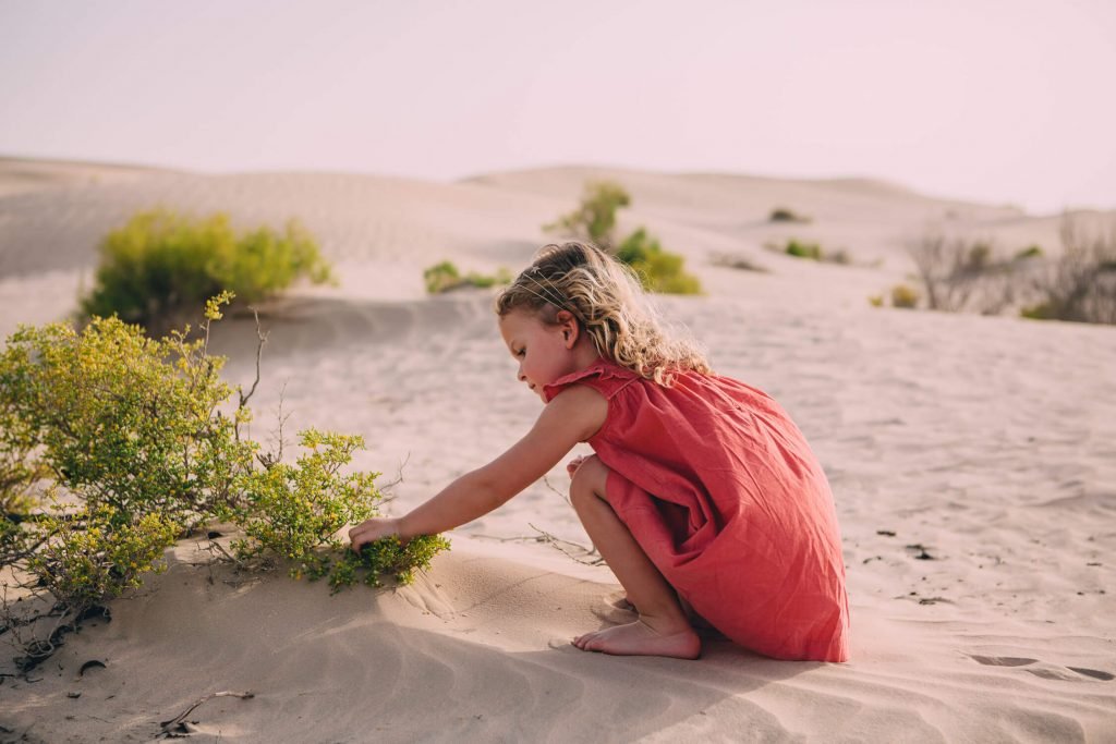 Farewell to the Dubai and Abu Dhabi desert. A girl playing in the desert bushes