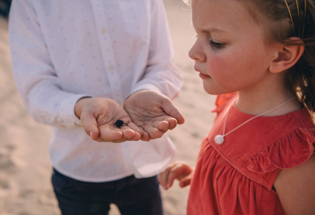 A little girl looks at the beetle her brother is showing