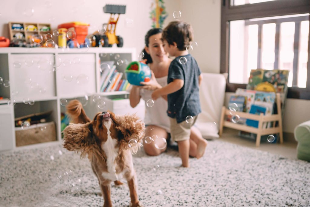 In-home lifestyle family session. Mum shows to her toddler the machine that makes bubbles while their dog plays with them